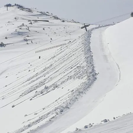 Private Dado - Vucko 4* ヤホリナ